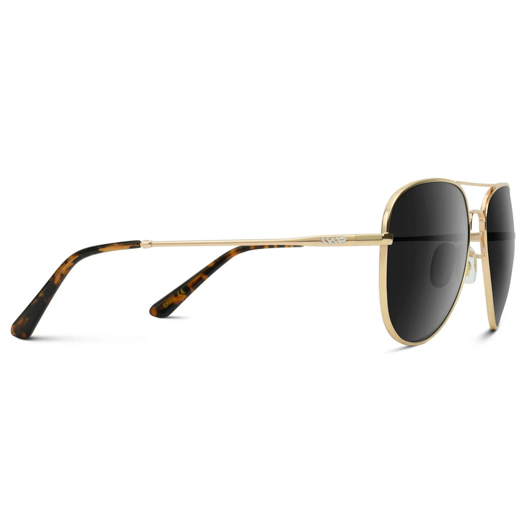 Maxwell Sunglasses (Gold Frame/Black Lens)